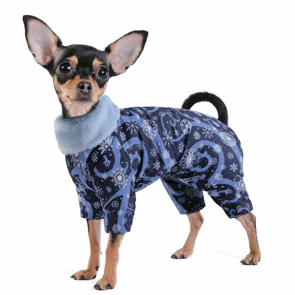 Hip Doggie Blue - Dallas Cowboys Dog Harness Vest