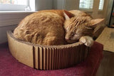 2-in-1 Cat Scratching Pad & Lounge Bed