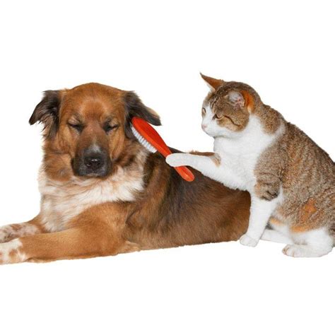 Pflegeprodukte für Hunde und Katzen