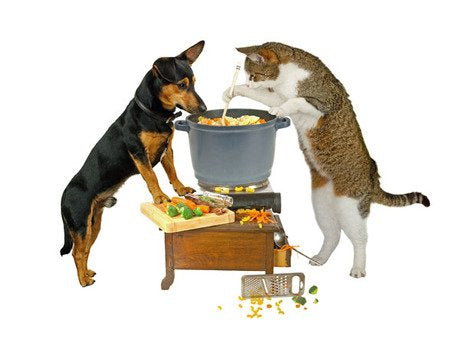 Toppers for Dogs and Cats