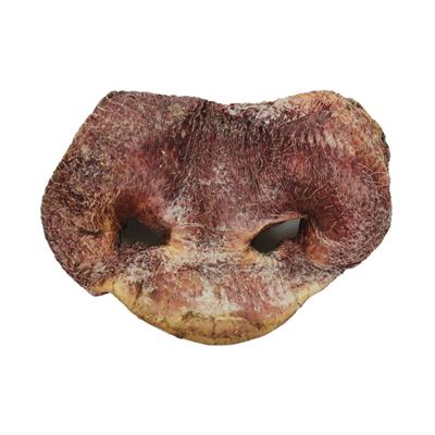 Freeze Dried Pig Snouts Dog Treats / case of 14