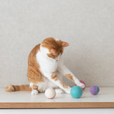 Wool Ball Toy - several sizes