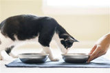 Stainless Steel Cat Bowls