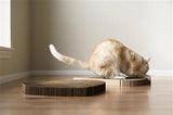 Eco-Friendly Cat Head Cat Scratching Pad - PetProductDelivery.com