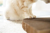 Eco-Friendly Cat Head Cat Scratching Pad - PetProductDelivery.com