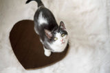 Eco-Friendly Heart Shape Cat Scratcher - PetProductDelivery.com
