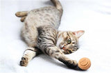 Eco-Friendly Cat Ball Toys - PetProductDelivery.com