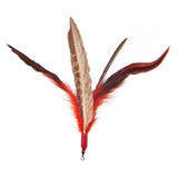 Da Bird SUPER Feather - PetProductDelivery.com